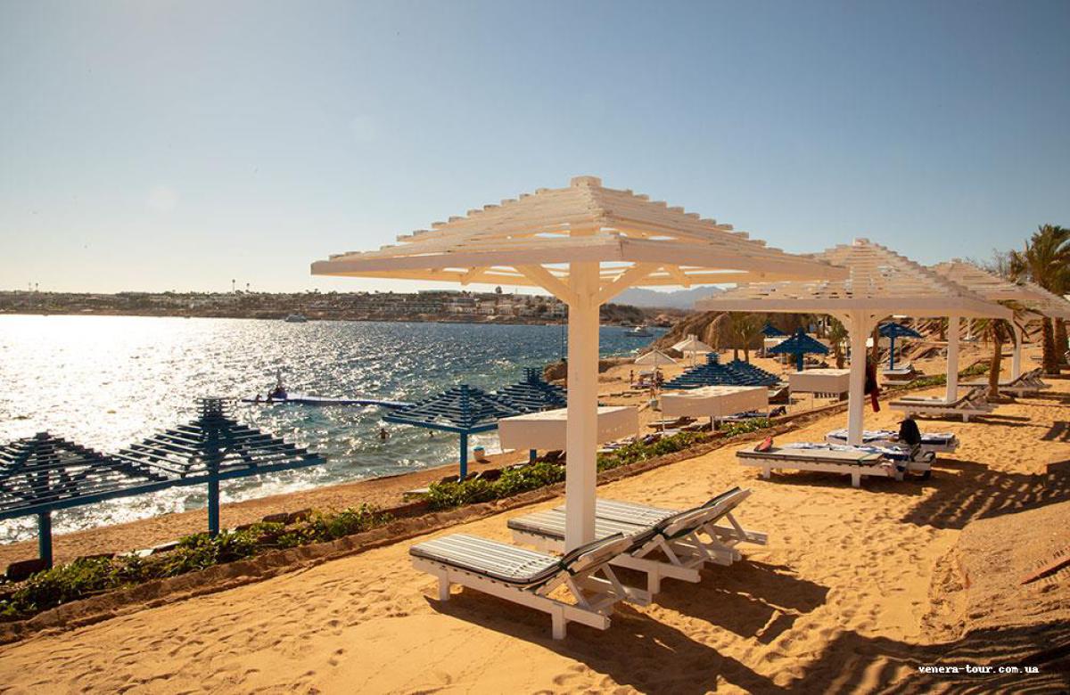 Grand Oasis Resort 4⭐️ інформація про готель та пошук турів в готелі Grand Oasis Resort 4⭐️ в Єгипеті
