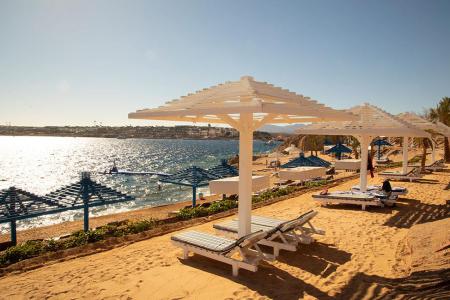 Grand Oasis Resort 4⭐️ інформація про готель та пошук турів в готелі Grand Oasis Resort 4⭐️ в Єгипеті
