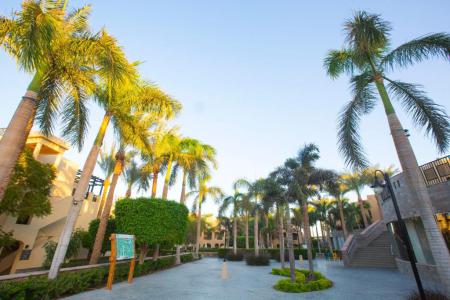 Stella Garden Resort & Spa Makadi Bay інформація про готель та пошук турів в готелі Stella Garden Resort & Spa Makadi Bay в Єгипеті