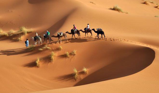 🐫 Екскурсії та враження