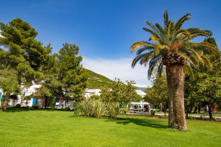 Slovenska Plaza Hotel 4⭐️ інформація про готель та пошук турів в готелі Slovenska Plaza Hotel 4⭐️ в Чорногорії