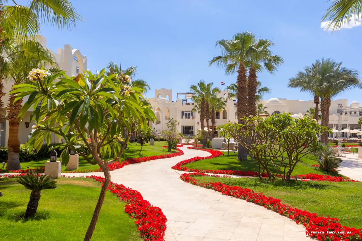 Swissotel Sharm El Sheikh All Inclusive Collection 5⭐️ інформація про готель та пошук турів в готелі Swissotel Sharm El Sheikh All Inclusive Collection 5⭐️ в Єгипеті