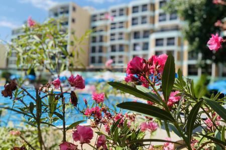 Sirena hotel 3⭐️ інформація про готель та пошук турів в готелі Sirena hotel 3⭐️ в Болгарії