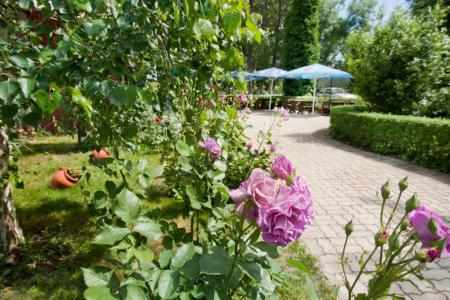 Regina 3⭐️ інформація про готель та пошук турів в готелі Regina 3⭐️ в Болгарії