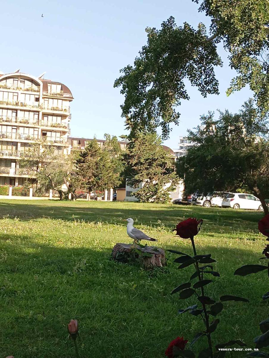 Pliska 3⭐️ інформація про готель та пошук турів в готелі Pliska 3⭐️ в Болгарії