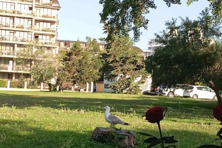 Pliska 3⭐️ інформація про готель та пошук турів в готелі Pliska 3⭐️ в Болгарії