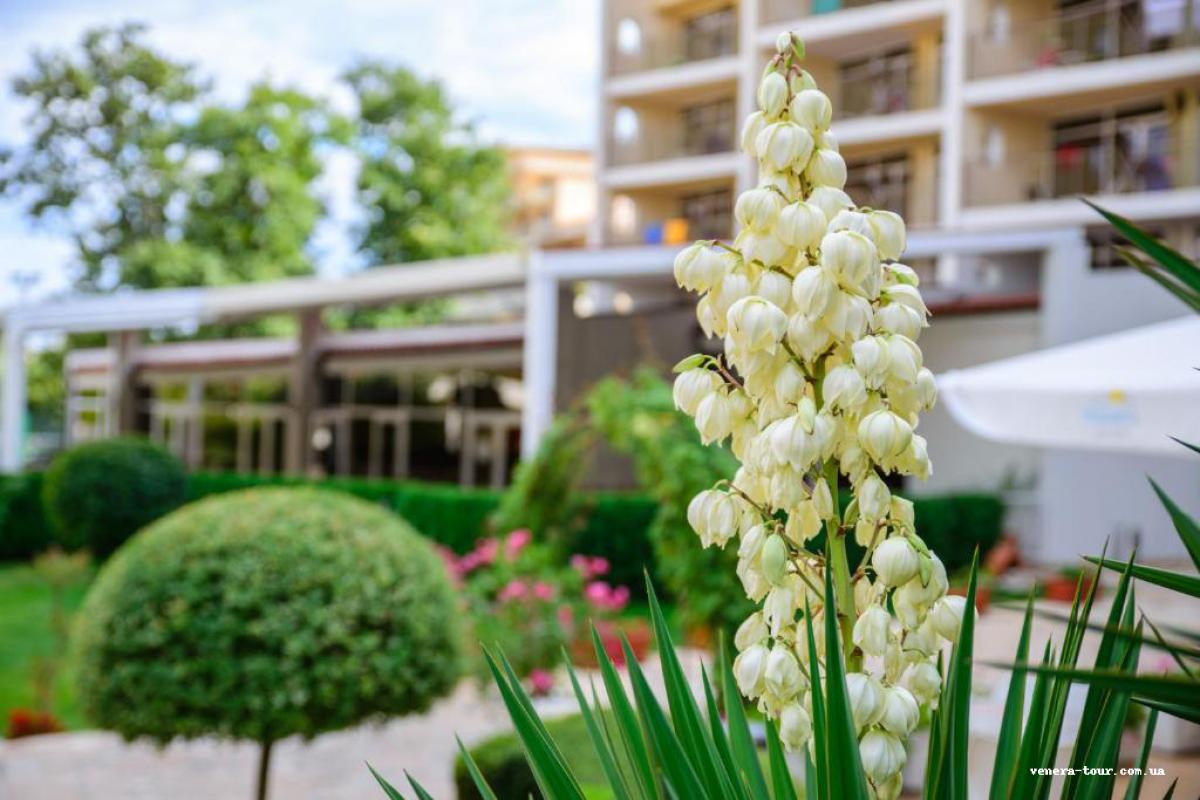 Madara Park Hotel 4⭐️ інформація про готель та пошук турів в готелі Madara Park Hotel 4⭐️ в Болгарії