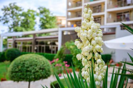 Madara Park Hotel 4⭐️ інформація про готель та пошук турів в готелі Madara Park Hotel 4⭐️ в Болгарії