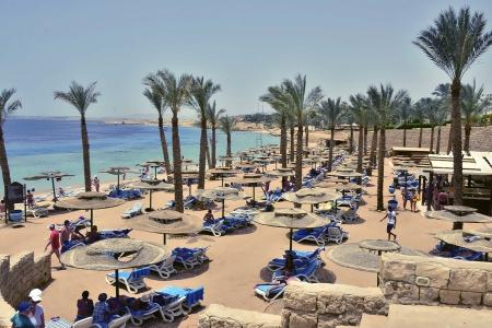 Continental Plaza Beach & Aqua Park Resort 4⭐️ інформація про готель та пошук турів в готелі Continental Plaza Beach & Aqua Park Resort 4⭐️ в Єгипеті