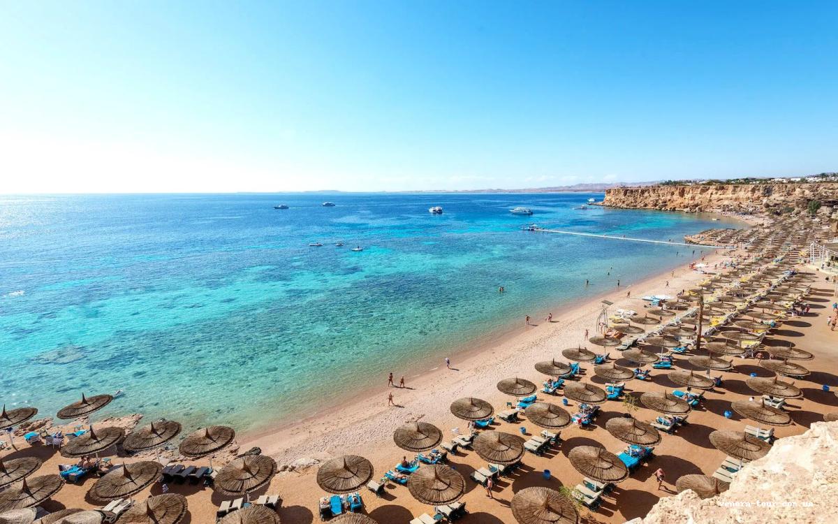 Reef Oasis Beach Resort 4⭐️ інформація про готель та пошук турів в готелі Reef Oasis Beach Resort 4⭐️ в Єгипеті