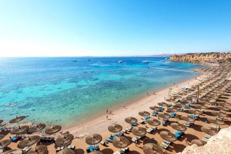 Reef Oasis Beach Resort 4⭐️ інформація про готель та пошук турів в готелі Reef Oasis Beach Resort 4⭐️ в Єгипеті