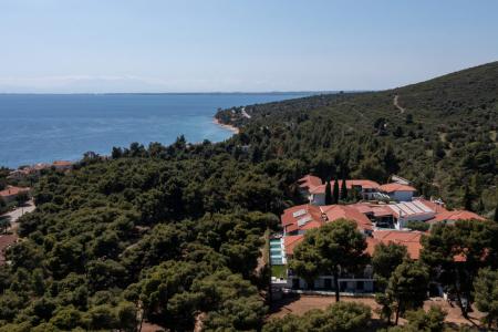 Philoxenia Hotel Psakoudia (Sithonia) інформація про готель та пошук турів в готелі Philoxenia Hotel Psakoudia (Sithonia) в Греції